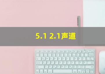 5.1 2.1声道